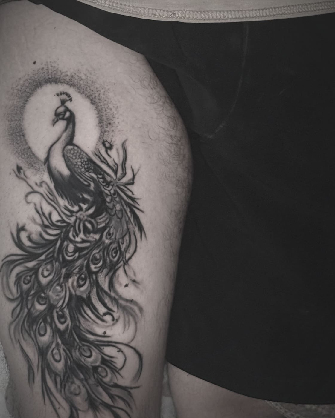 Peacock on a thigh, fine line work with a stippled halo and feather eyes graded in dotwork