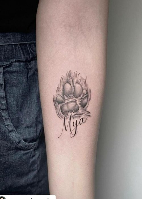 Pet Tattoo